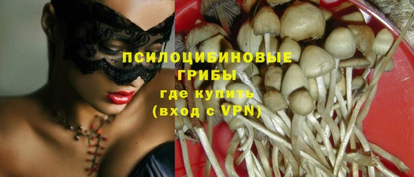 каннабис Алзамай