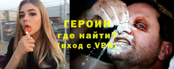 индика Елабуга