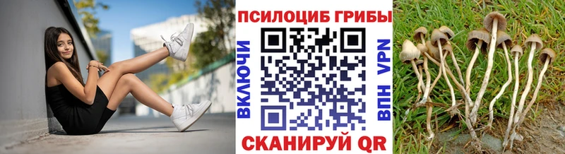 Галлюциногенные грибы мицелий  kraken ссылки  Арамиль  продажа наркотиков 